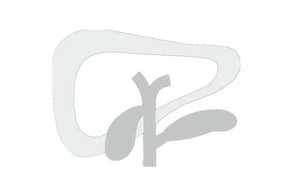 临床肝胆病杂志logo（白色）.png